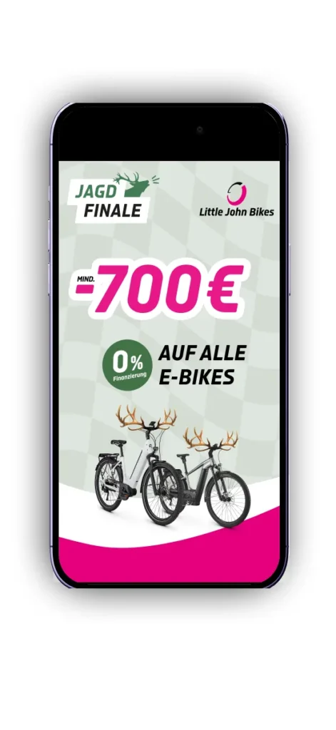 digitalbegleiter-shopify-agentur-berlin-ljb